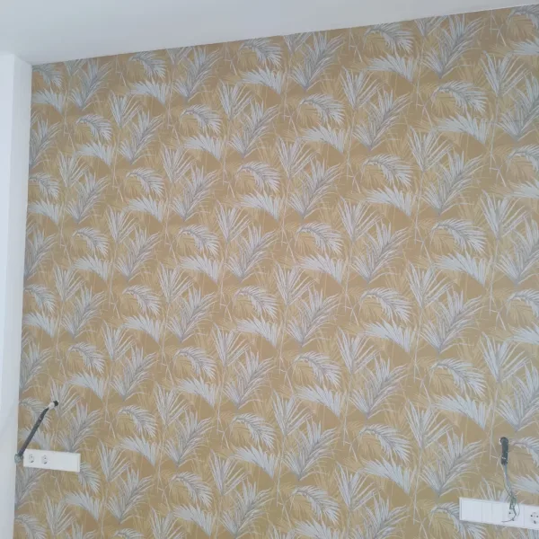 WhatsApp Image 2024-11-13 at 09.05.00