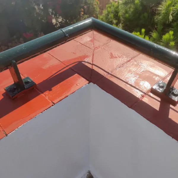 WhatsApp Image 2024-11-13 at 11.23.00